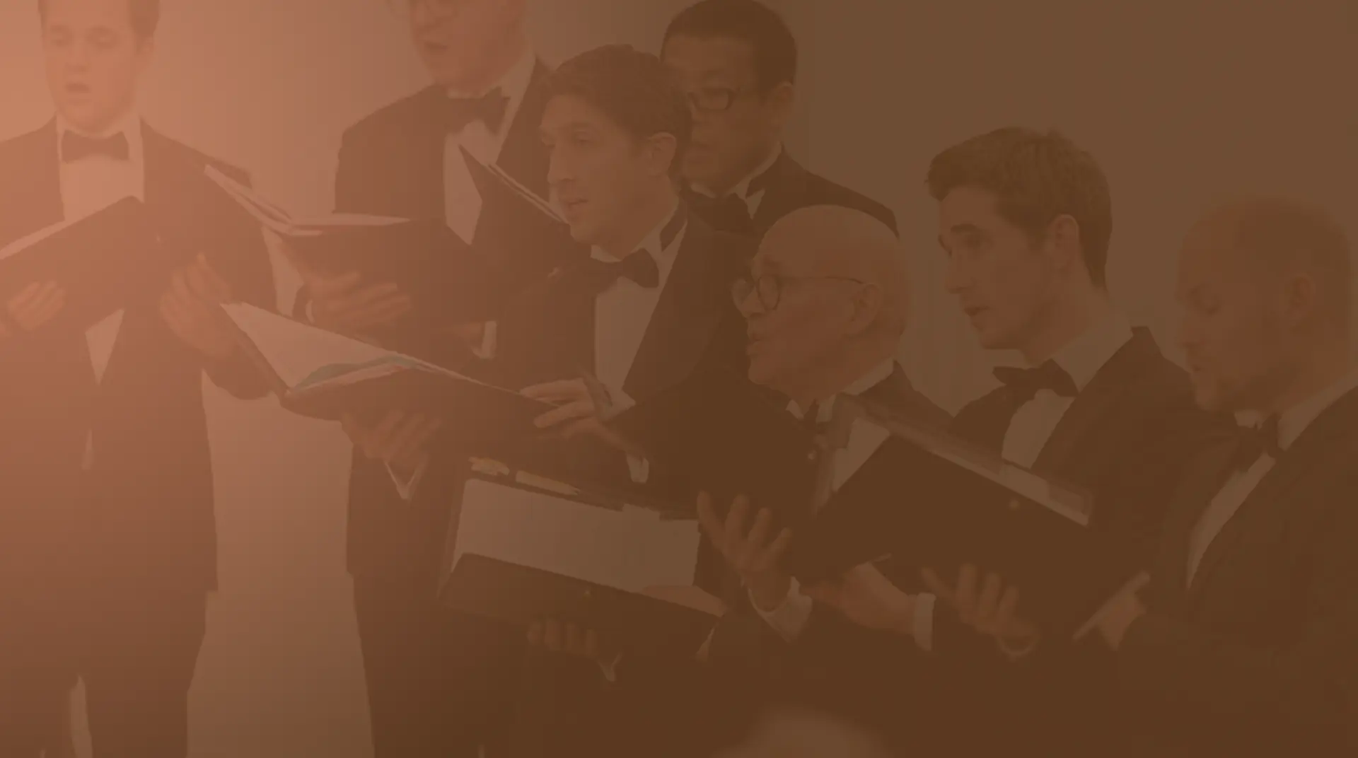 image-zanggroep-de-fellows